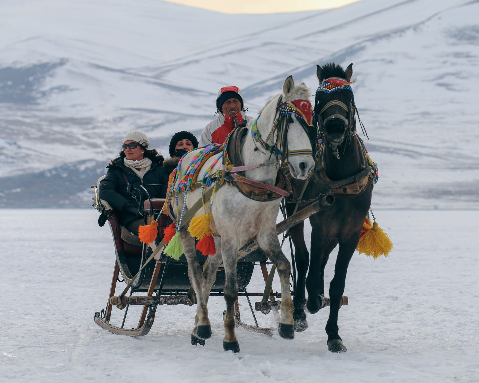 Private winter sleigh ride